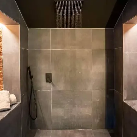 Le Magik' Loft Avec Sauna Et Daire Saint-Etienne (Loire)